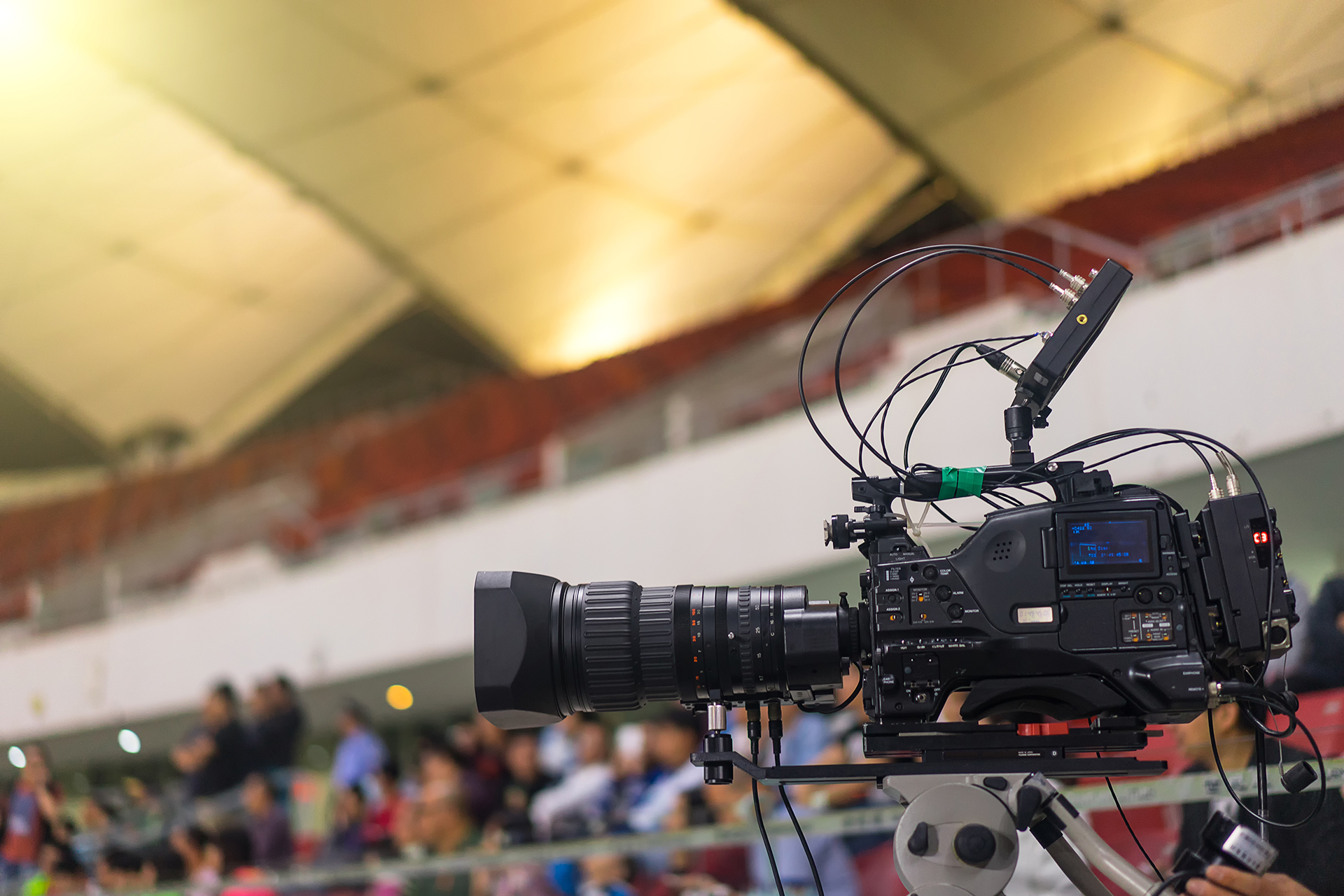 banner-image